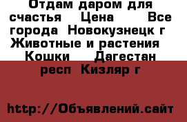 Отдам даром для счастья. › Цена ­ 1 - Все города, Новокузнецк г. Животные и растения » Кошки   . Дагестан респ.,Кизляр г.